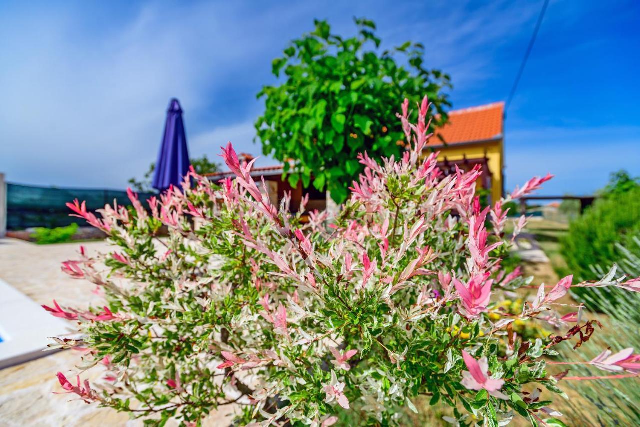 Sunny House Villa Smokovic Buitenkant foto