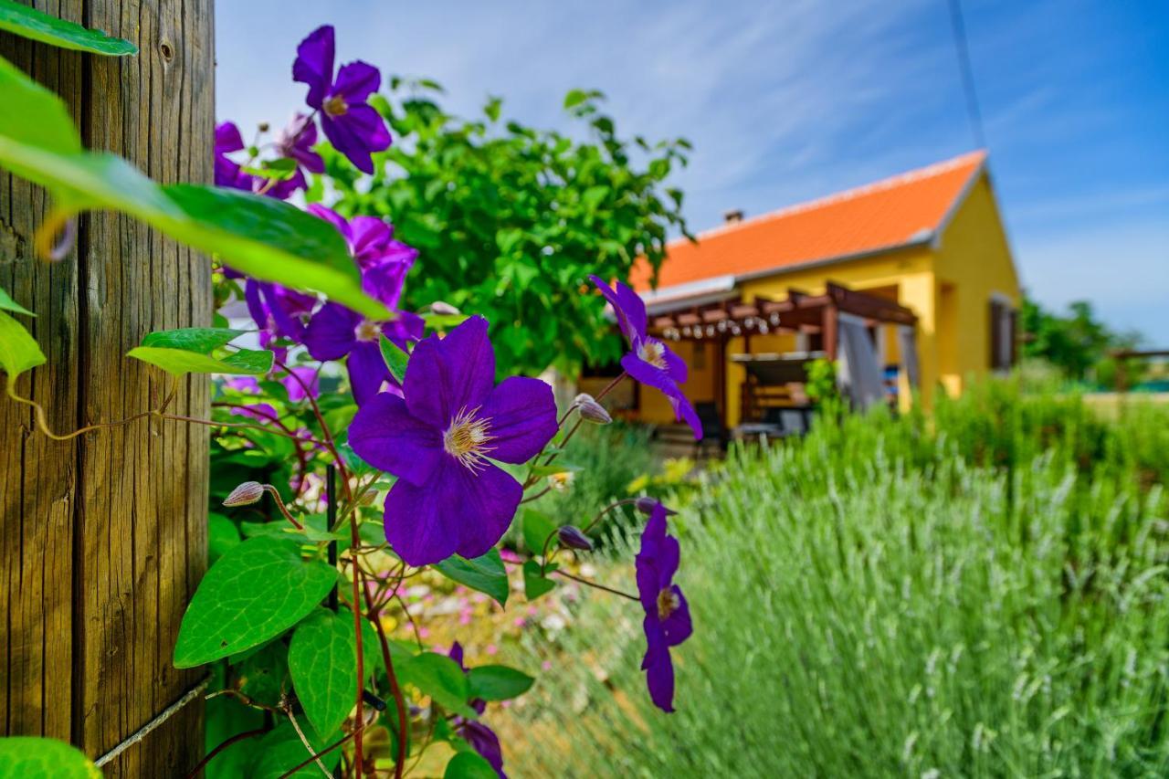 Sunny House Villa Smokovic Buitenkant foto