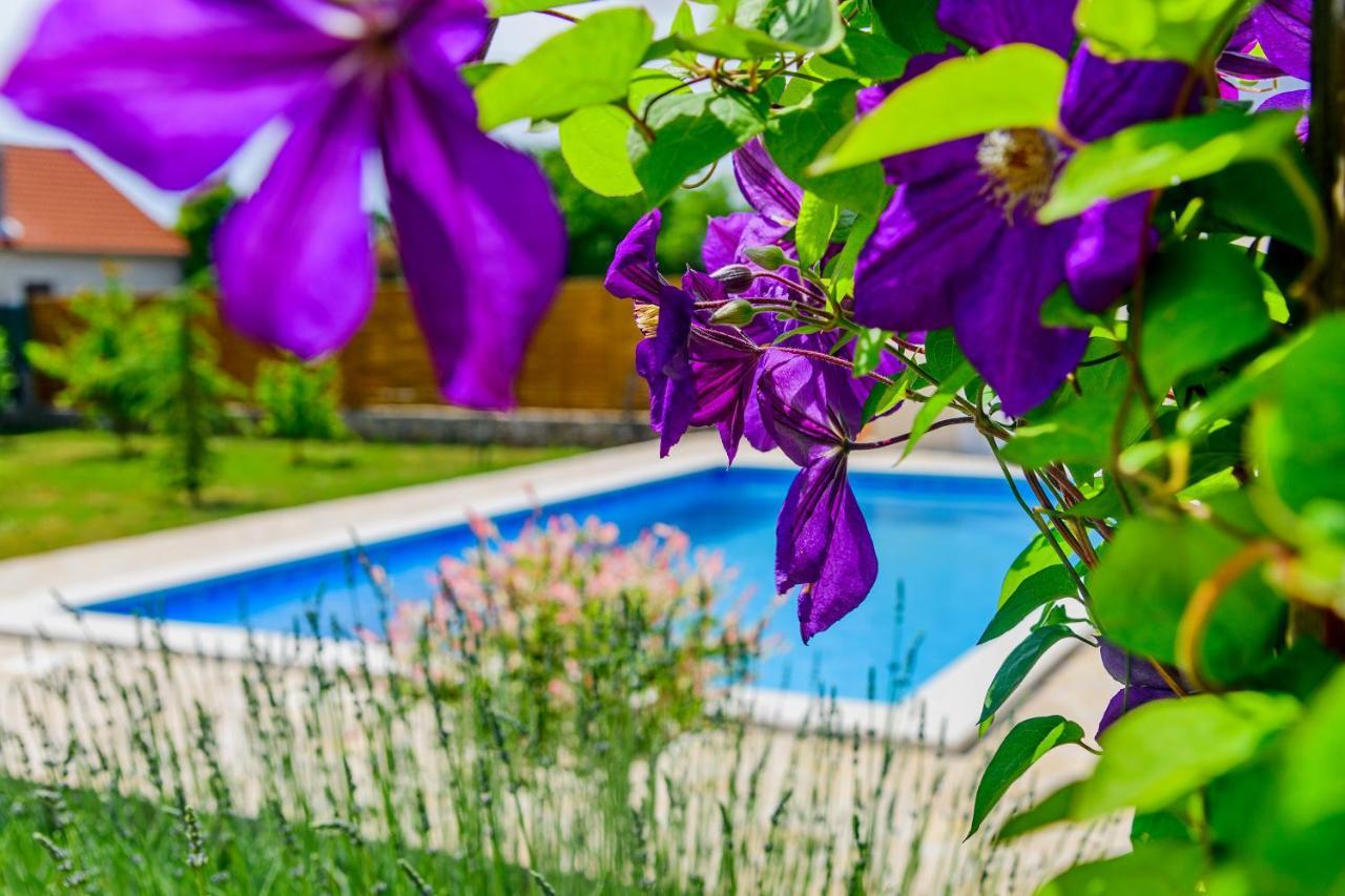 Sunny House Villa Smokovic Buitenkant foto